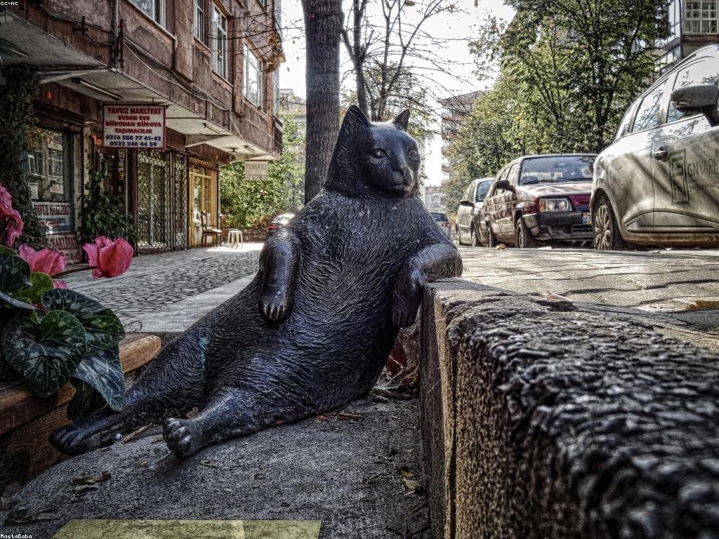 អត្ថប្រយោជន៍នៃការជាអ្នកជាសមាជិក VIP