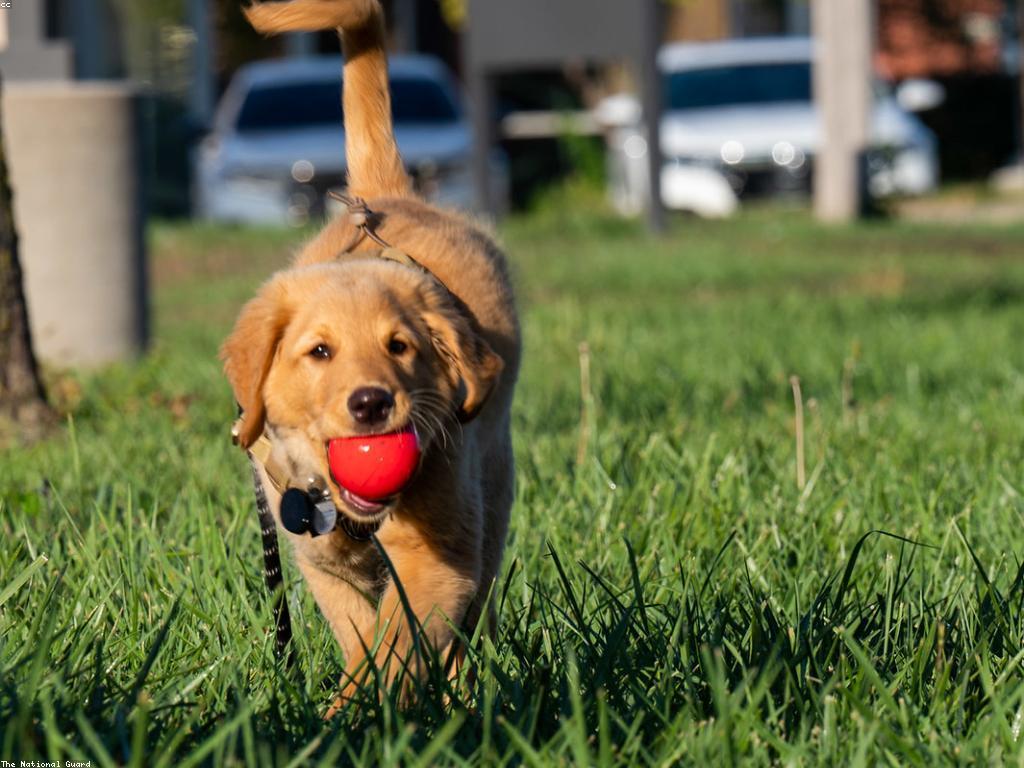 អត្ថប្រយោជន៍នៃការជាអ្នកជាសមាជិក VIP